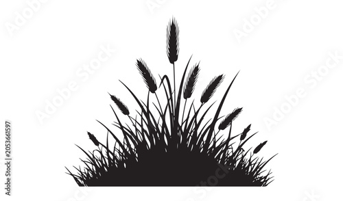 Wild grass and bulrush reeds bush vector silhouette isolated on white background for nature design