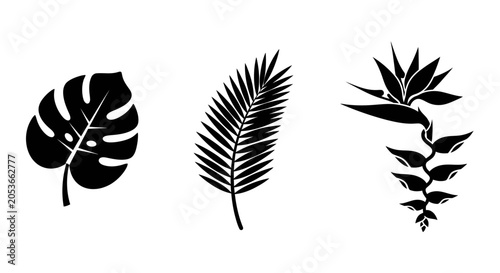 Tropical Leaves Silhouette - Monstera, Palm, Bird of Paradise Flower