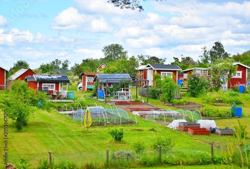 Foto Small red Swedish summer country houses with vegetable gardens.