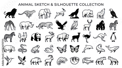 Photography Animal Sketch and Silhouette Collection: Diverse Wildlife Illustrations
