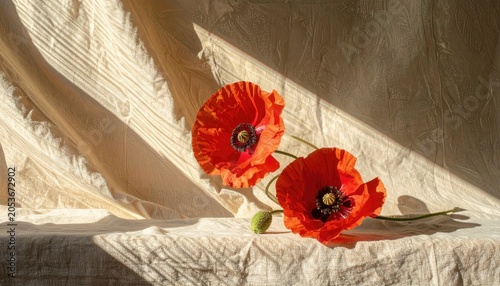 Two vibrant red poppies on textured fabric with strong sunlight