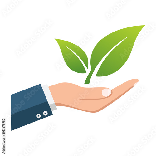 Hand holding a small green plant