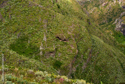 Deep gorge with caves Anaga mountains