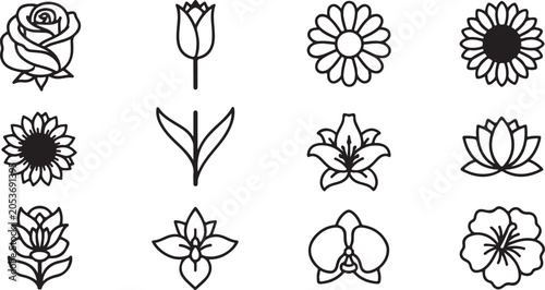 Fotografia Set of twelve elegant black and white flower icons