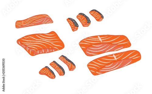 Collection of raw fresh parts of salmon 