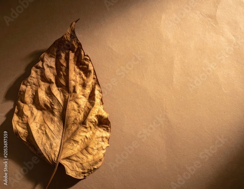 A single, dry, veined leaf bathed in warm, dramatic light on textured paper