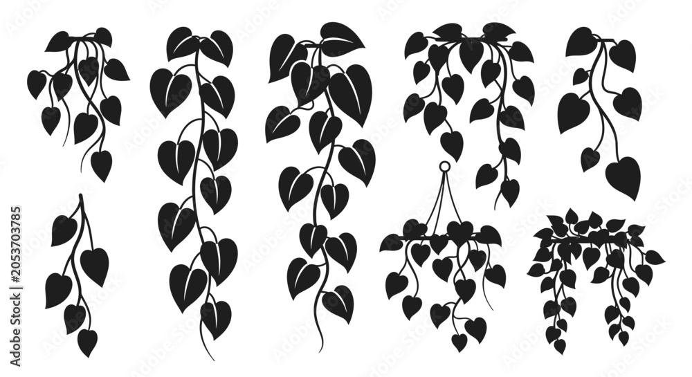 Fototapeta premium Hanging Vines Silhouette Collection - Greenery Plant Branches Vector Graphics