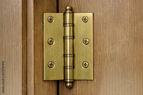 A close-up shot of a door hinge on a wooden door
