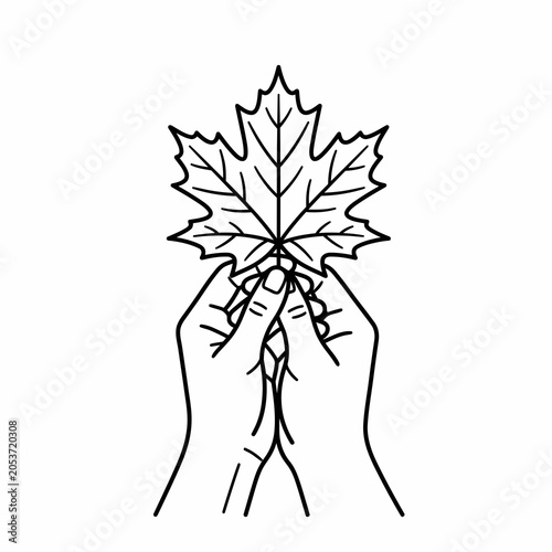Minimalist line art illustration of two hands carefully holding a detailed maple leaf.