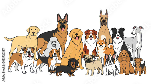 Diverse collection of various dog breeds together