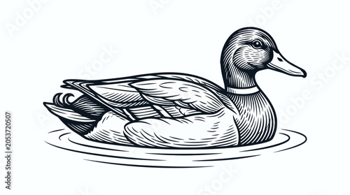 Duck swimming on water in vintage woodcut style