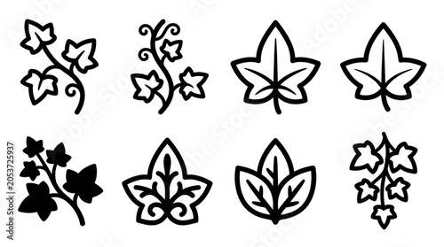 Collection of Simple Black Ivy Leaf Icons and Botanical Silhouette Graphics