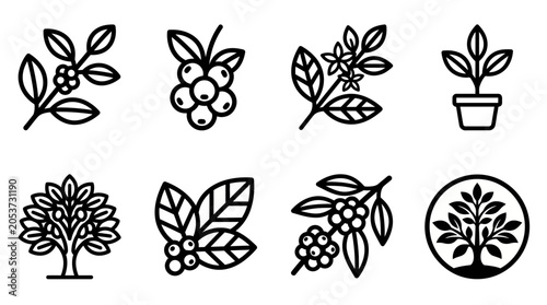 Coffee plant branch leaf and tree outline vector icons set