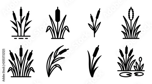 Photos Collection of cattail icons and reed plant silhouettes for botanical design