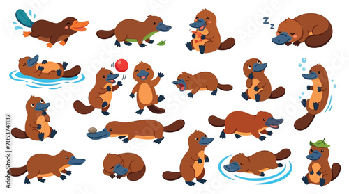 Fotografie Collection of cute cartoon platypus characters in various poses and activities, isolated on a white background
