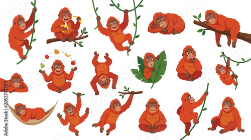 Photography Collection of cute orangutan characters in various poses and activities, illustrating their playful nature and jungle habitat