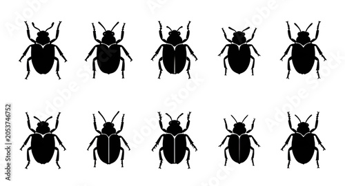 Bild auf Leinwand wildlifeinsect, beetlesilhouette, beetleillustration, beetle, insect, bug, silho