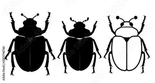 Foto blackbeetle, beetlesilhouette, beetleillustration, beetle, insect, bug, silhouet