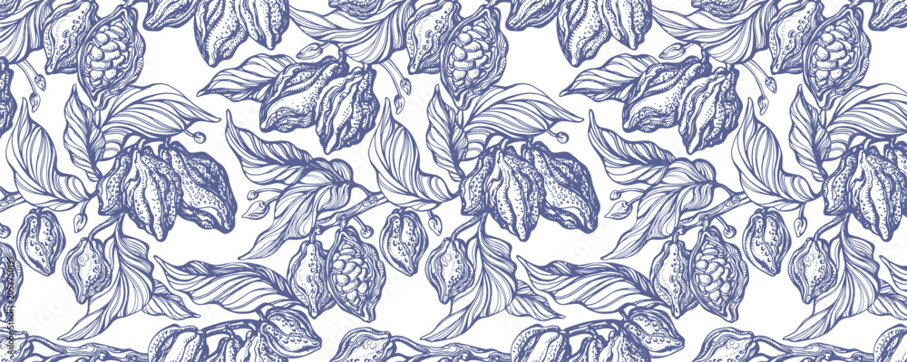 Fototapeta premium Vintage botanical illustration of cocoa plant with pod, engraving bean and texture leaves. Organic farm plantation. Hand drawn cacao tree branch. Classic chocolate packaging