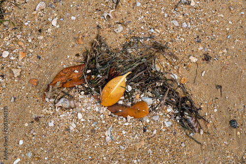 Marine debris and beach wrack with golden mangrove leaves, on the sand. Coochiemudlo Island, Queensland,