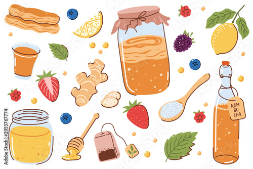 Kombucha Drink Set, Healthy Fermented Drink with Ginger, Lemon, Honey and Berries, Natural Organic Food, Hand Drawn Vector Illustrations