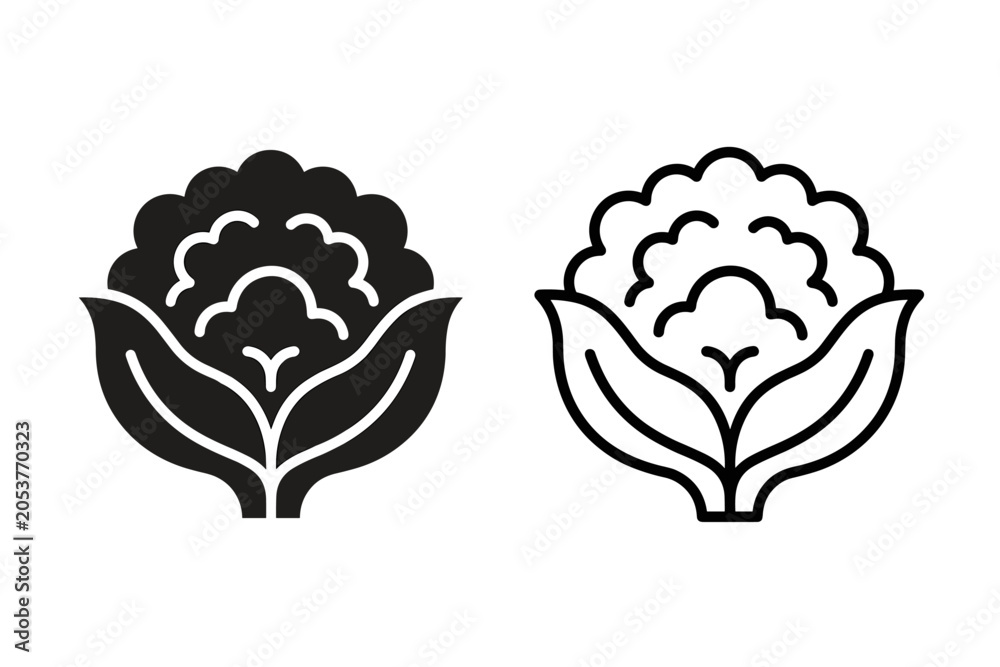 Fototapeta premium Stylized cauliflower icons in solid black and outline versions for design