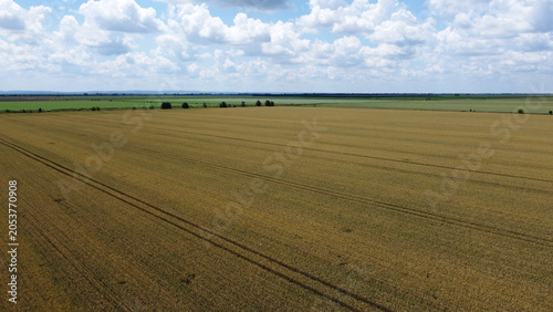 Foto ripe wheat fields in vojvodina province, drone photography