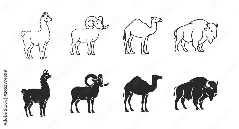 Fototapeta premium Livestock animal icon set with llama ram camel and bison outline and silhouette collection