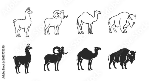 Valokuva Livestock animal icon set with llama ram camel and bison outline and silhouette