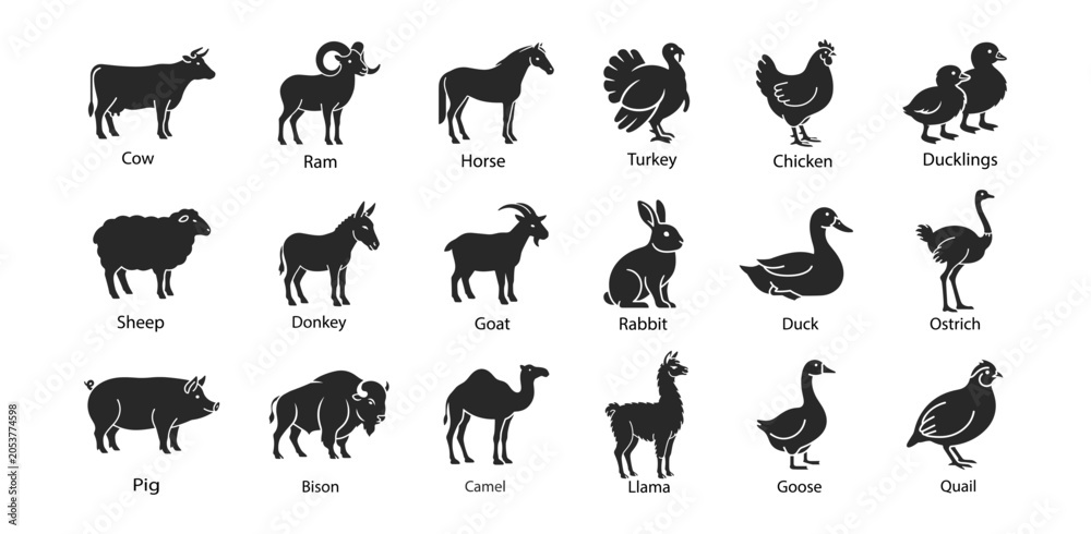 Fototapeta premium Farm animal livestock icon set with cattle horse goat poultry rabbit and bird silhouettes