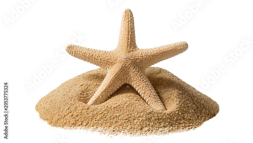 Photos Starfish resting on a mound of sand