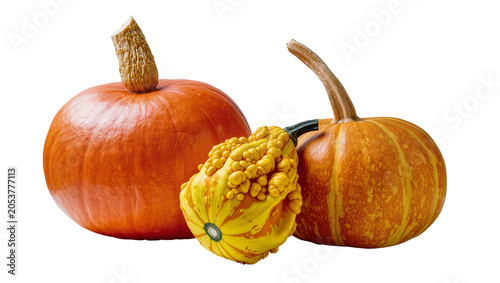 Foto Orange pumpkins and bumpy yellow gourd with stripes