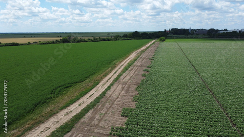 Bild auf Leinwand agricultural fields in the spring in vojvodina province, drone photography