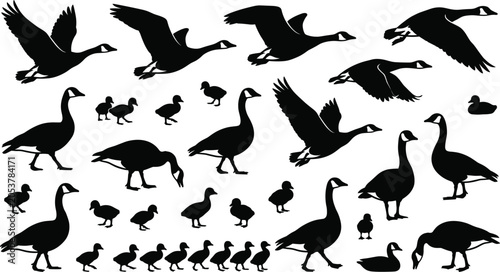 Canvastavla Canada goose silhouettes, flying birds, standing geese, swimming ducks, gosling family, migratory waterfowl, nature wildlife collection, outdoors pond animals, farm life