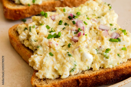 Close-up of homemade egg salad toasts on a plate, garnished with chopped purple onions and chives for breakfast