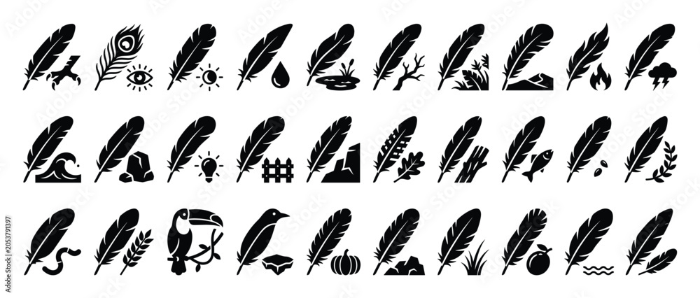 Fototapeta premium Feather nature symbols. Wildlife element pictograms. Organic quill glyph set. Flat style.
