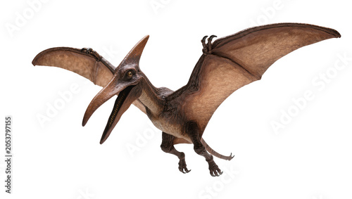 Photos Pterodactyl flying with open mouth and wings spread