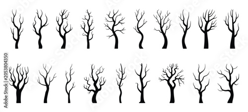 Foto Twigs Tree Trunk and Branches vector set Leafless Bare Trees outline illustration for Dry forest Spooky Woodland Halloween Nature concept design