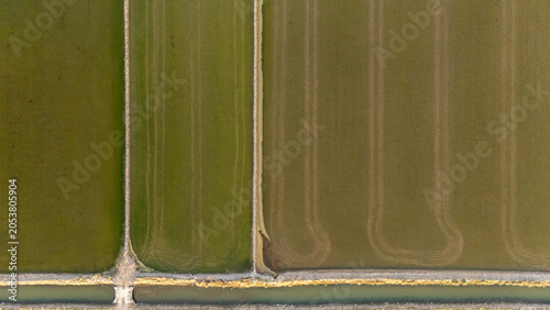 Billede på lærred Aerial view dividing rice fields and irrigation canal