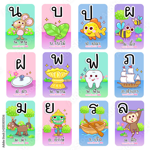 Set thai alphabet  card