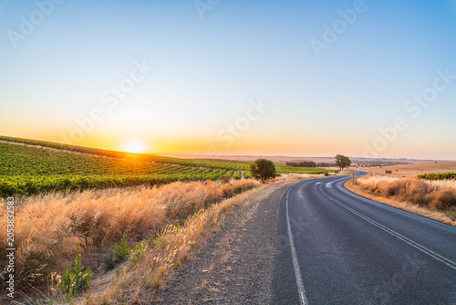 Winding highway passing through vineyards in the Barossa Valley during sunset, South Australia. Golden hour light illuminates the grapevines and rolling countryside, creating a calm rural landscape 