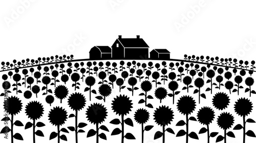 Silhouette of a farmhouse and barn behind a field of sunflowers on a hill