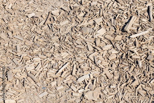Close-up view of wood chips scattered on the ground, showcasing various sizes and textures in a natural outdoor setting under bright sunlight