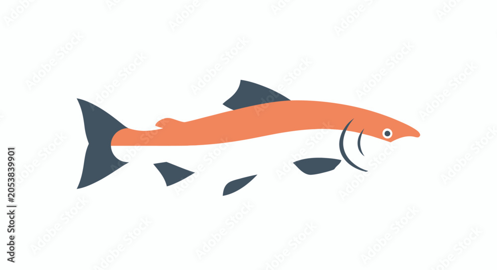 Obraz premium Stylized salmon fish illustration, orange and blue, isolated on white background, vector art