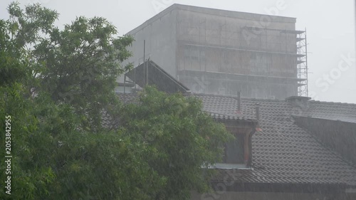 Renovation of Panel Building in Heavy Rain and Hail Storm. Heavy torrential rain, strong wind, and occasional hail hit the building and a large green tree under a light grey sky.