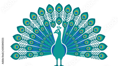 Peacock displaying its beautiful iridescent tail feathers.