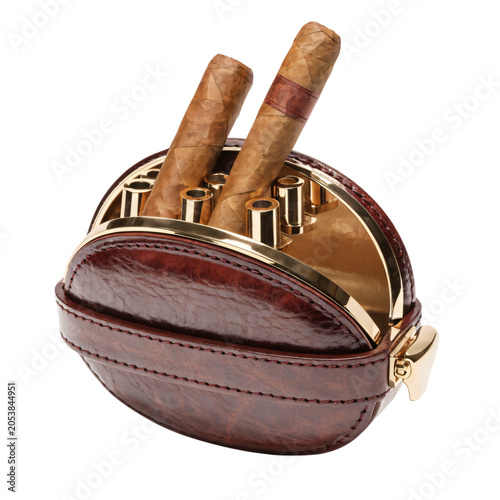Cricket Bat and Ball Resting on Leather Pouch with Stitching Detail