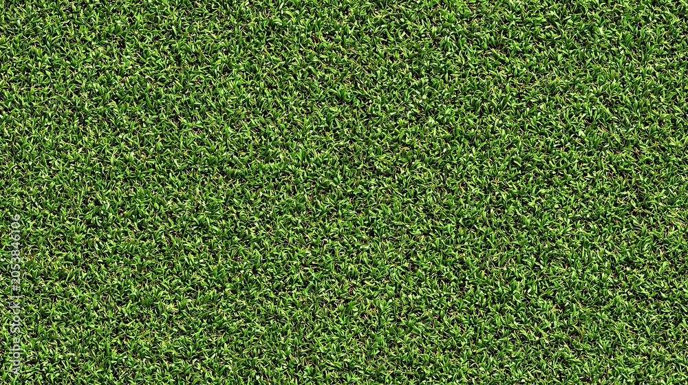 Fototapeta premium Seamless Tileable Lawn Grass Surface Texture Flat