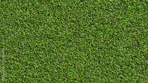 Seamless Tileable Lawn Grass Surface Texture Flat