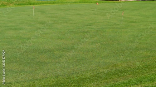 Golf green, on the golf course